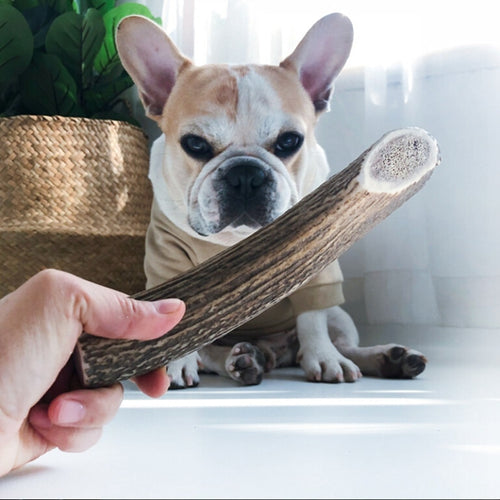 Dog Tooth Cleaning Food Antlers Pet Chew Toy Durable Teeth Cleaning  Bone Toy Dog Molar Sticks Healthy Dog Snack Pets Supplies