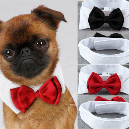 Fashion Adjustable Pet Bows Puppy Kitten Dogs Cat Tie-Collar Necktie Bowknot Clothes For Pets Dog Cat New Strap Styling New 2019