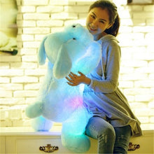 Load image into Gallery viewer, 1pc 50cm luminous dog plush doll colorful LED glowing dogs children toys for girl kidz birthday gift WJ445